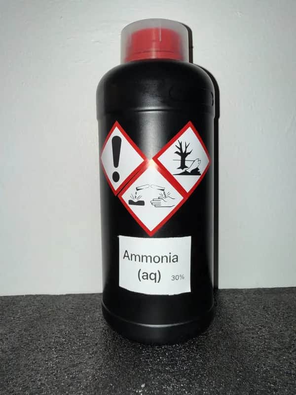 HDPE bottle of Ammonia (aq) (30%) labeled with GHS icons: Corrosive, Irritant, Environmental